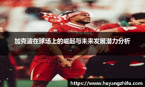 HB火博体育